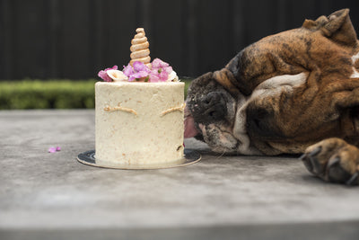 Why Ray White is talking about our Pup-cakes?
